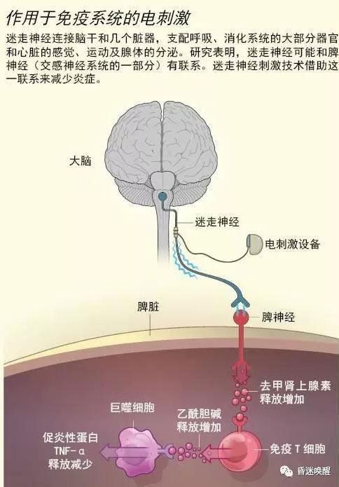 微信圖片_20200218080835.jpg