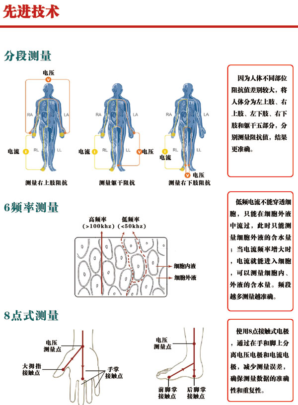 人體成分分析儀BM-860