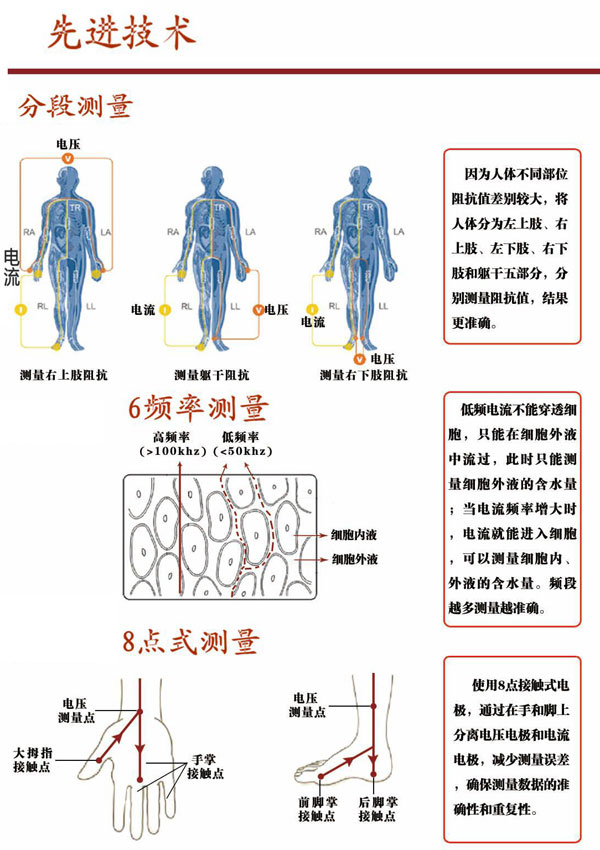 人體成分分析儀BM-830